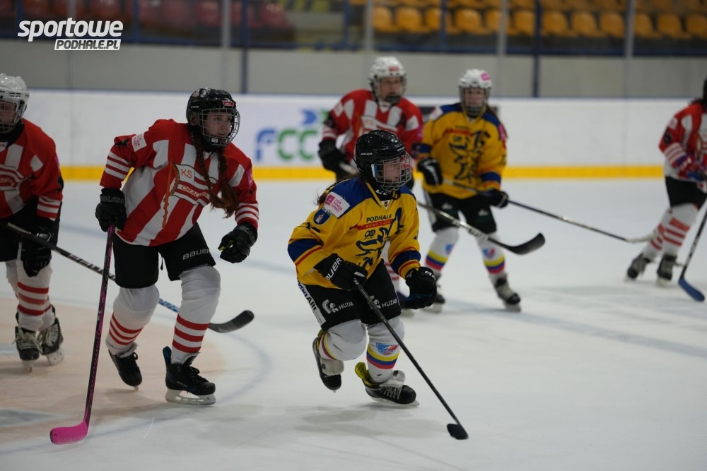 Hokej: TLHK DI. Kompromitacja sędziów stolikowych!